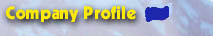 Company Profile